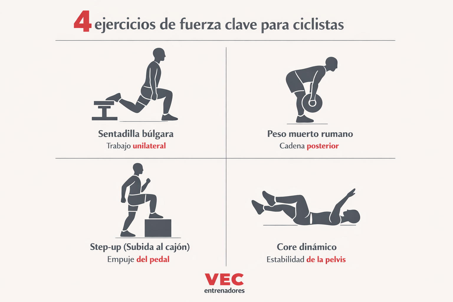 Infografía de los 4 ejercicios clave de fuerza para ciclistas: Sentadilla Búlgara, Peso Muerto, Step-Up y Core dinámico en VEC.